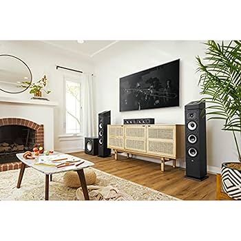 Amazon.com: Polk Monitor XT12 Powered Sub - 12